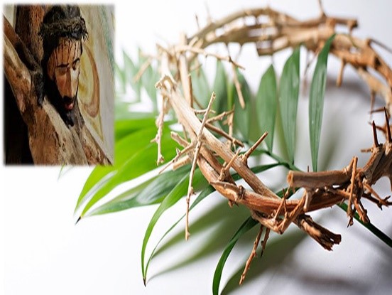 Khuôn mặt của tình thương – Lời Chúa Chúa Nhật Lễ Lá – Năm B