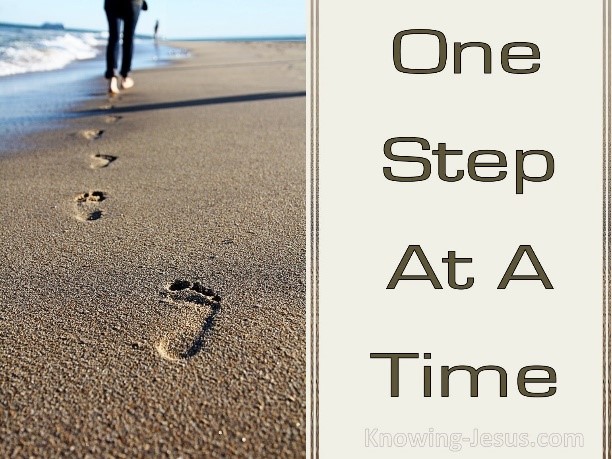 Chúa Nhật Thứ XXIII Thường Niên –  Năm C