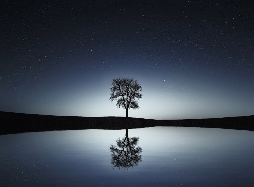 Chúa Nhật Thứ VII TN  – Năm A